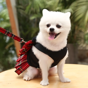 Perro pomerania con vestido de arnés JK de cuadros negros y rojos y correa a juego al aire