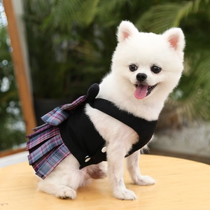 Detalle de Pomerania blanco con chaleco negro y falda escocesa morada para perros