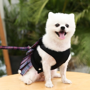 Detalle del arnés para mascotas estilo JK con falda plisada morada y correa a juego