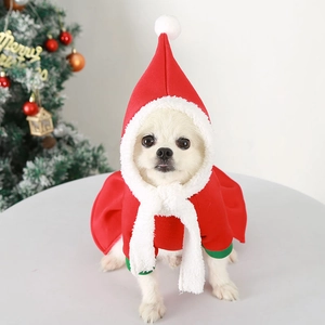 Close-up of a white dog wearing a festive red Christmas pet cloak with plush trim