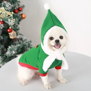 Close-up of green and red fleece Christmas pet costume with white faux fur trim detail
