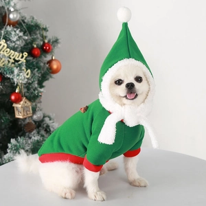 Detail of Christmas elf pet costume set featuring a green hoodie with a red pointy hat