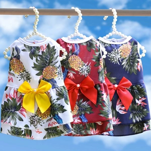 Détail de robes d'été pour animaux à motif ananas avec nœuds sur cintres perlés