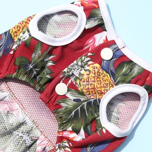 Détail de gilet rouge en maille pour animaux avec motifs ananas et boutons-pression