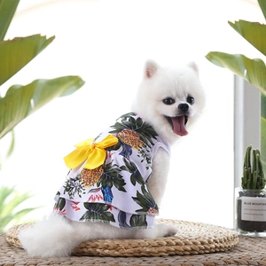 Détail d'une robe pour chien imprimé ananas avec nœud jaune et maille respirante légère
