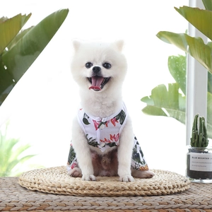 Détail du gilet respirant pour animaux avec motif floral sur un Loulou de Poméranie