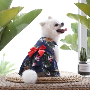 Détail d'une robe d'été pour animaux avec imprimé ananas et nœud rouge à perle
