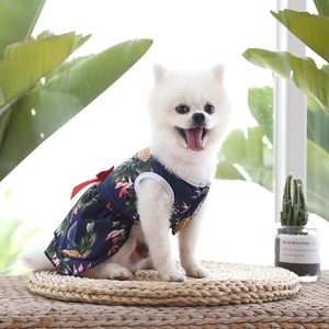 Détail d'une robe pour animal avec imprimé tropical et nœud rouge sur un petit chien blanc