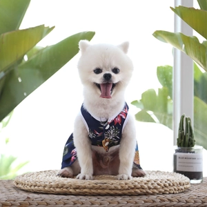 Détail d'une chemise d'été pour chien à imprimé floral et ananas sur un spritz blanc