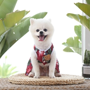 Détail d'une chemise rouge à imprimé ananas tropical pour petit chien blanc