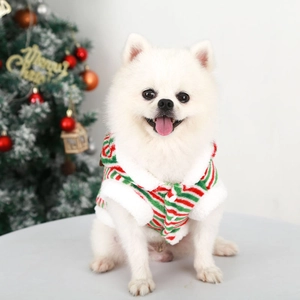 Detail of a Christmas-themed striped pet vest with soft fleece lining on a Pomeranian