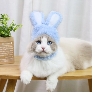 Dettaglio del cappello a orecchie di coniglio in morbido peluche azzurro per animali