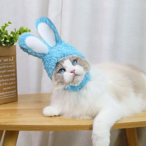Dettaglio di un cappello blu in peluche con orecchie da coniglio per gatti e cani
