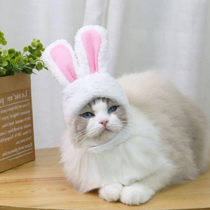 Dettaglio copricapo a orecchie di coniglio per gatti in morbido peluche bianco e rosa