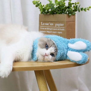 Dettaglio di un cappello di peluche azzurro con orecchie da coniglio per gatti e cani