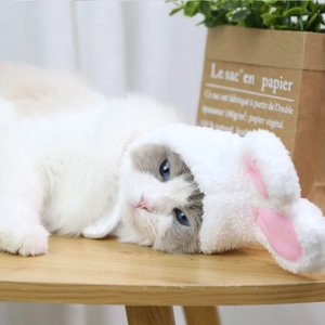 Dettaglio della fascia con orecchie di coniglio in peluche per gatti e cani