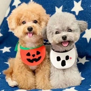 Detail of Halloween pumpkin and ghost pet bibs worn by two dogs on a blue starry blanket