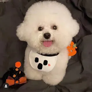 Close-up of a dog wearing a white ghost bandana and pumpkin hat for Halloween