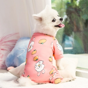 Pyjama rose pour animaux avec motifs lapin et fruits, porté par un petit chien blanc