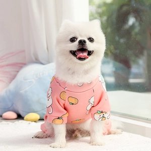 Détail du pyjama rose pour animaux avec motifs orange et lapin sur un spitz nain blanc