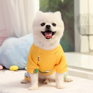 Détail d'un pyjama jaune pour animaux avec motifs arc-en-ciel sur un petit chien Poméranien