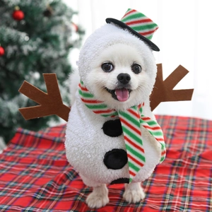 Pomeranian wearing white snowman pet costume with striped scarf and mini top hat