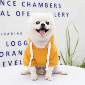 Close-up of yellow pet hoodie with adjustable white drawstrings on a white Pomeranian dog