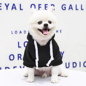 Detail of a black pet hoodie on a Pomeranian featuring white drawstrings and ribbed cuffs
