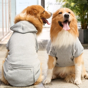 Detail of grey dog hoodie with metal zipper pocket and drawstring on golden retrievers