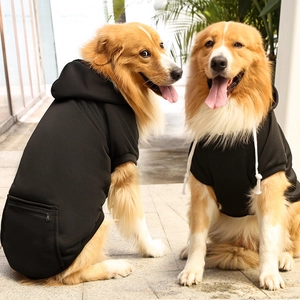 Detail view of black dog hoodie with zipper pocket and white drawstrings on a golden retriever