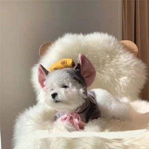 Grey pet mouse hoodie with pink ears and cheese detail on a white dog