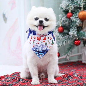 White Pomeranian dog wearing a Christmas themed triangle scarf with Merry Christmas text