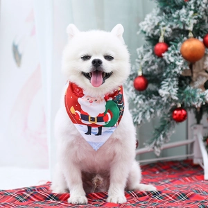 Close-up of Pomeranian wearing a red Santa Claus Christmas pet bandana with festive tree
