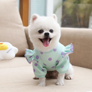 Close-up of mint green pet hoodie with purple polka dots and ruffled shoulder detail