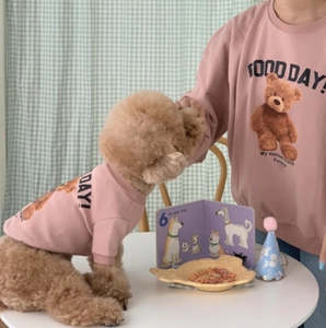 Pink matching owner and pet hoodies featuring cute teddy bear print and soft cotton fabric
