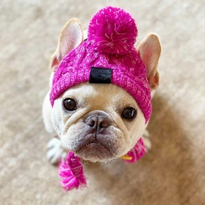Detail of rose red knitted pet hat and scarf set with pompom for French Bulldog
