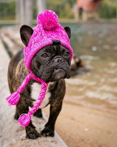 Close-up of vibrant pink knit pet hat with pom pom and chin straps on a black French Bulldog