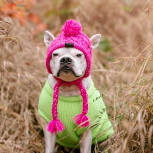 Pink knit hat with pom-pom and green sweater on a white bulldog for pet winter warmth