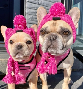 Close-up of pink knitted pet hat with pompom and tassel on French bulldog