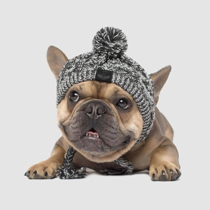 Detail of pet knit hat with grey pompom and ear holes on a small dog model
