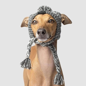 Close-up of grey knit pet hat with pom-pom and tassels on a greyhound head
