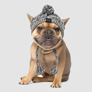 Close-up of gray knit pet hat with pompom and tassel ties on a French Bulldog