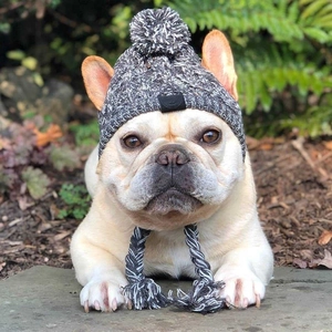 Detail of warm knitted pet hat with fluffy pom-poms and ear holes for French Bulldogs