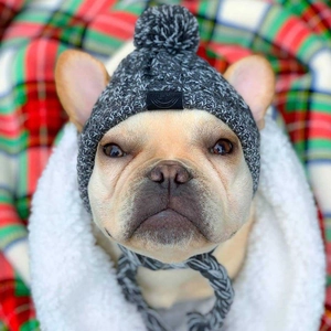 Close-up of knit pet hat with fluffy pom-pom and leather label on festive plaid rug