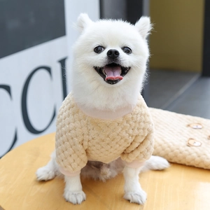 Detail of cream dog sweater featuring textured dot knit fabric and ribbed trim edges