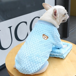 Close-up of blue fleece pet sweater with bear embroidery on a French Bulldog