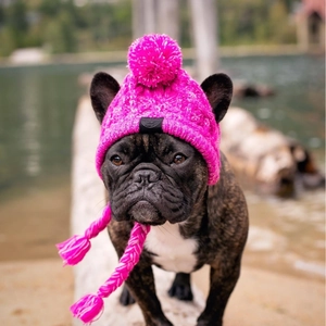 Pink knitted pet hat with pompom and ear flaps for French Bulldogs and cats