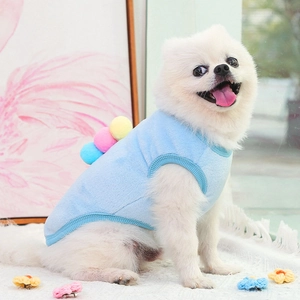 Dettaglio del gilet in pile azzurro con pompon colorati per cani di piccola taglia