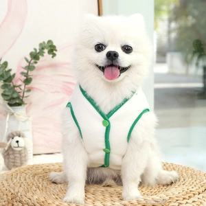 Detail of a plush warm pet vest with green buttons on a white Pomeranian dog