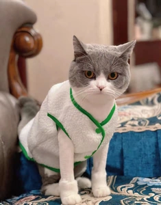Detail of white fleece pet vest with green trim and Chinese knot buttons worn by a cat